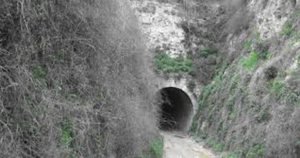 "�����"...���� ����� ���� ��� ������ ������ ���������