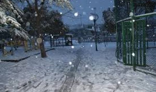 ������ - ��� ���� ������� ����� ����� ����� �� ������ ��� ����� ������� 