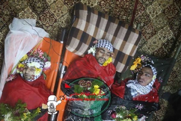 ������ �������: ����� 23 �� ������ ������� ��� �����