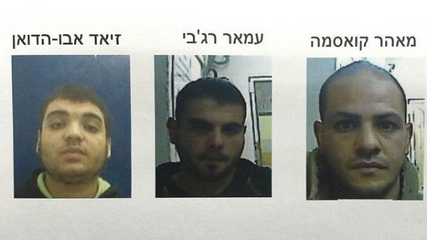 ������� ���� ������ ���� ����� �� ������ ������