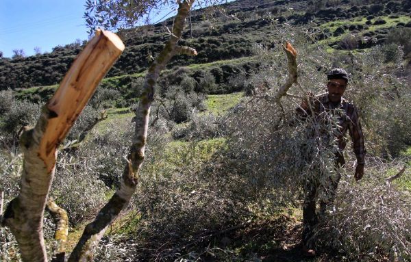 ���� ������ ������ �������� ��� ����� ��� ���� �� �������