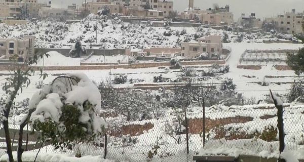 "�� �������".. ����� ����� ���� �� ������ ��� �������