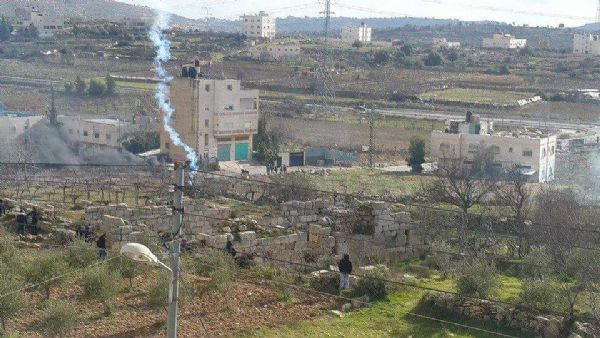 �������� ���� ����� ������� �� ����� �����