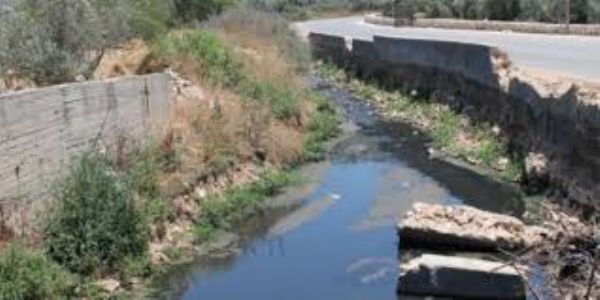 ���� ����� ������ ��������� ����� ������� ������  �� �����