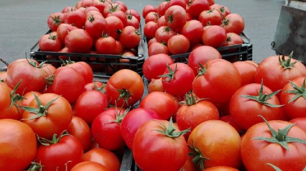 ���� ��� �������� �� ������� ����������