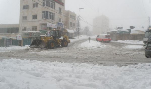 ����� ���� ����� ������ ������� ������ ������ ����