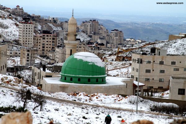 ������ ������ �������� ���� �������� ������� ������