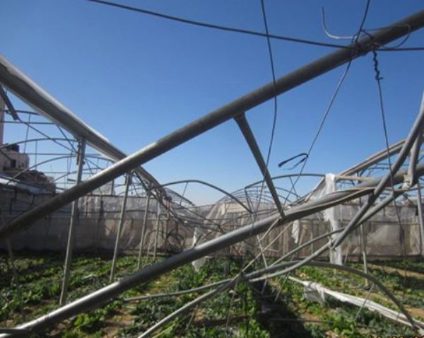 ������� ������� �� ������� ���� �� ������ ������� �����