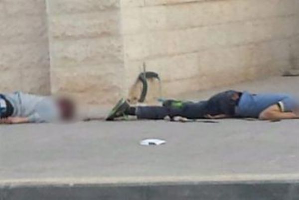 ������� ����� ����� �������� ��� ���� ������ ��� ����