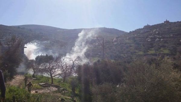 ����� ������� ���� ����� ������ ���� ��������� �������� �� ������ 