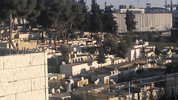 �������� ����� ����� ���� ���� ��������  ������