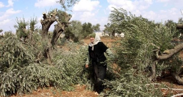 �������� ���� ������ ���� ������ �� ���� ������� ��� ������