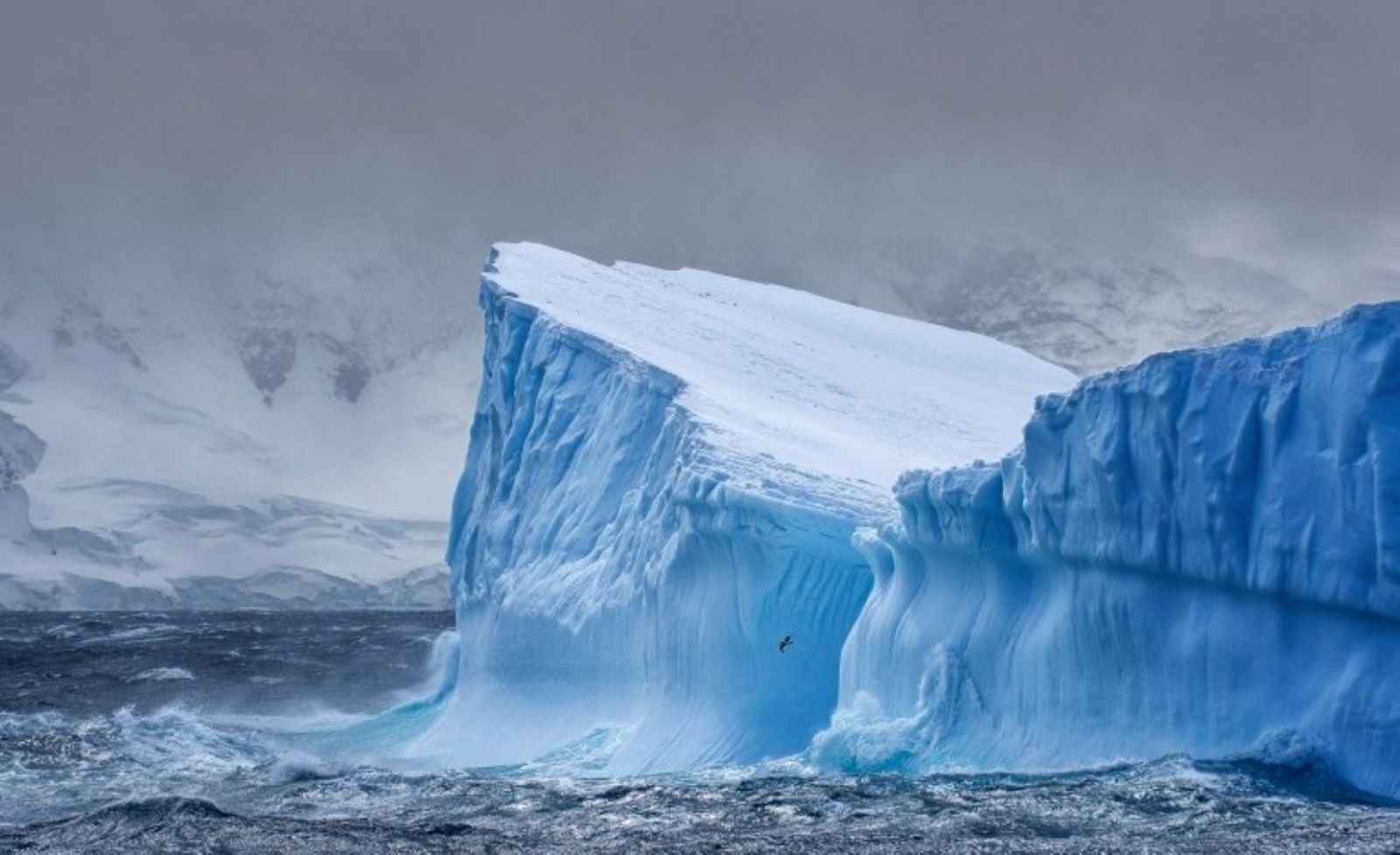 الجرف الجليدى فى القارة القطبية الجنوبية يتمزق