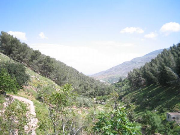  ������ ��� ��� �� ����� ����� ��� �����