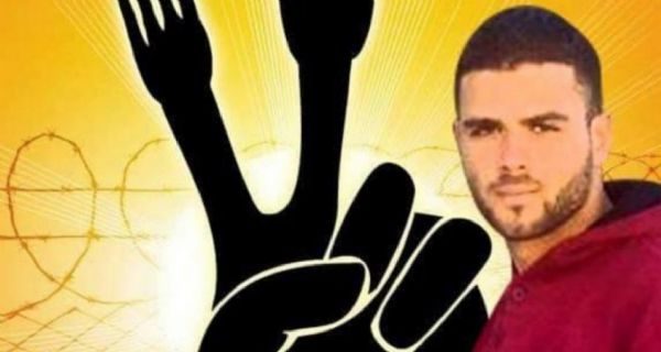 ���� ������ ������ ���� ����� ������ ���� �����