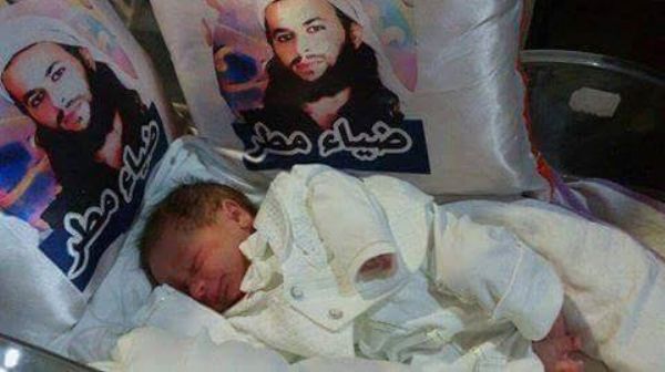 ���� ������/ ������ ����� ����� ������ ��� 44 ���