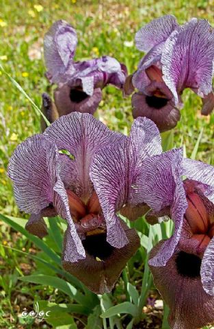 ���� ����� ... ���� �������� ����� ������� ����� ������� ����� ����� ��� �� ������ �� ����� 48