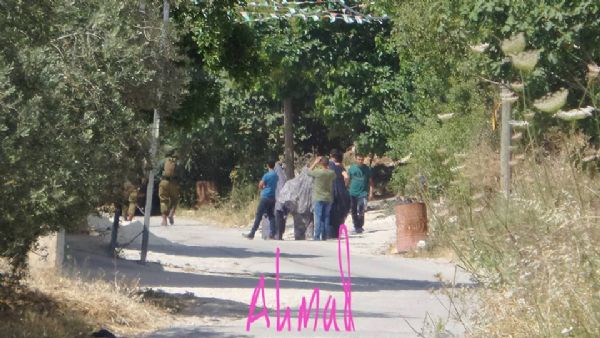  ���� �������� ����� ���� ���� �����