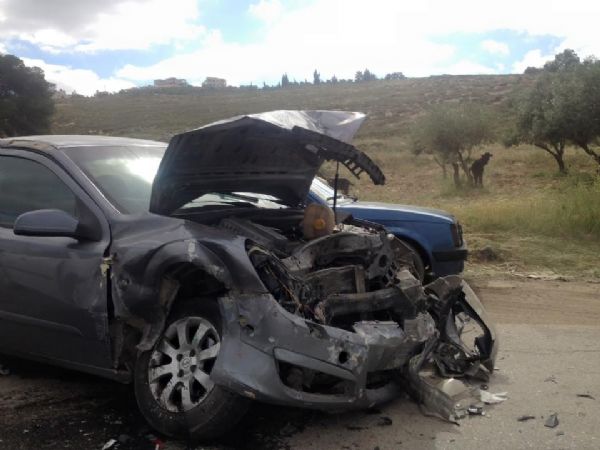  ������ �239 ����� �� ����� ����� ������ ���� ����� �������