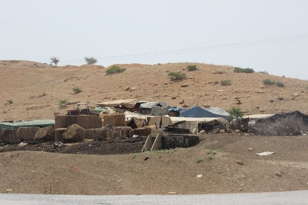 ���� ������� �������� ������ ����� ������ ���������