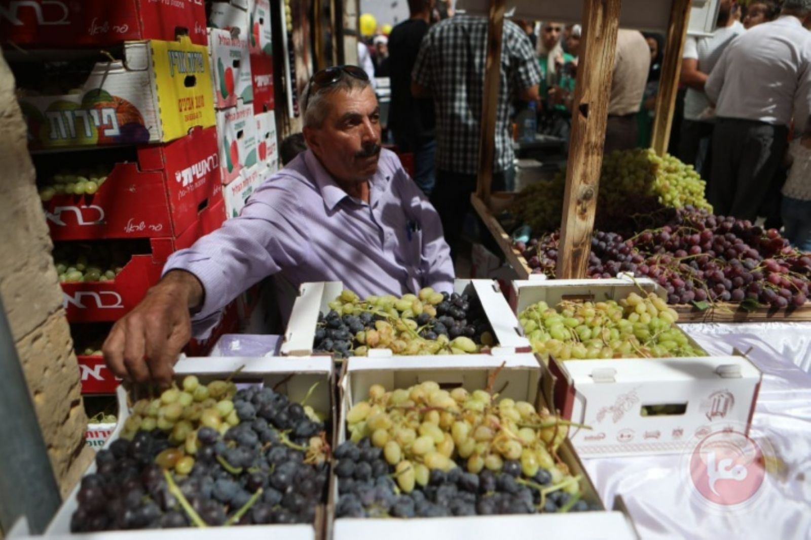افتتاح مهرجان أيام العنب الخليلي في البلدة القديمة من مدينة الخليل