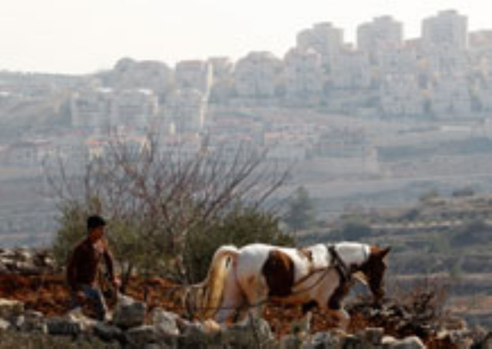 ����� ����� ������ ���� ���������� �� �����