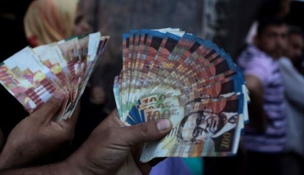 ��� ����� ����� ������� ����� 03/07/2016