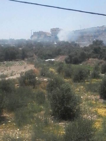 ������ �14 ����� ����� 7 ����� ����� ���� ����