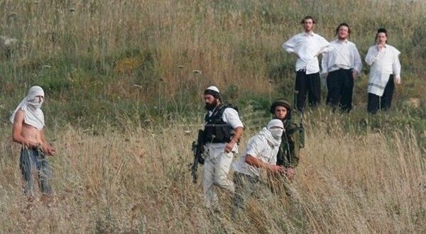 �������� ������ ������ ������� ���� �����