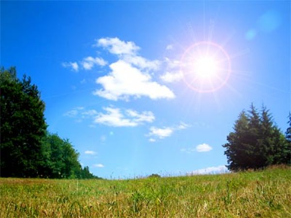 ���� �����: ������� ���� �� ������ ������ ����� ����� 3 ����� �����