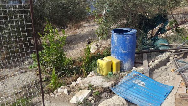 �����: �������� ���� ����� ������ ����� �� ������