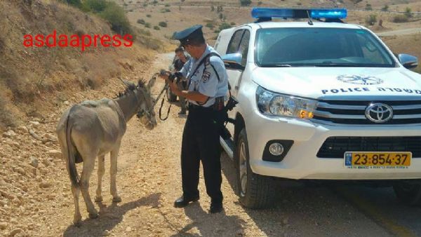 ���.. ���� �������� ����� ������ �� ��� ��������� �� ����� ������� 