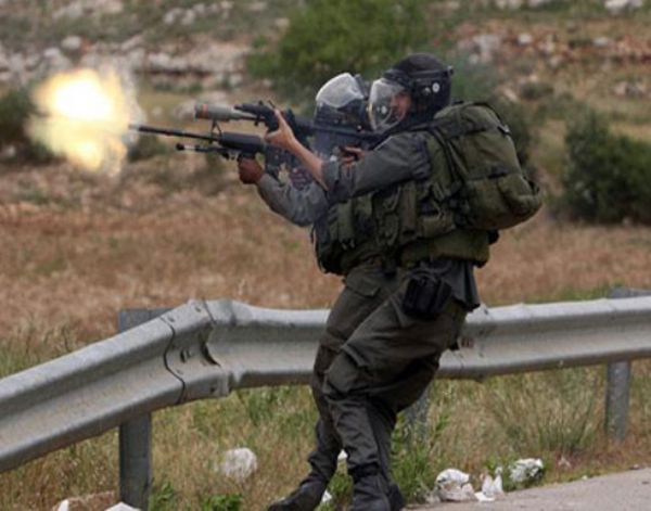 ����: ������� ��� ��� �������� ��� ������� "������" ���� ����� 