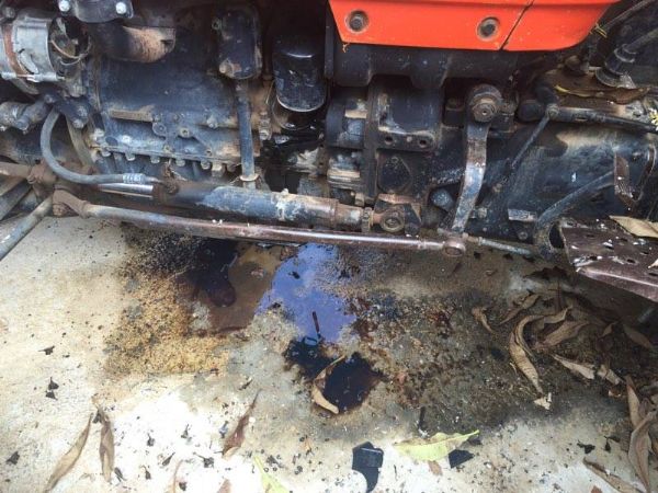 ����� ���� ���� ������ ����� ���� ���� ��� ���