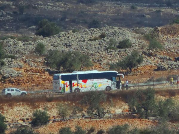 �������� ������ ���� ������ ������� ������