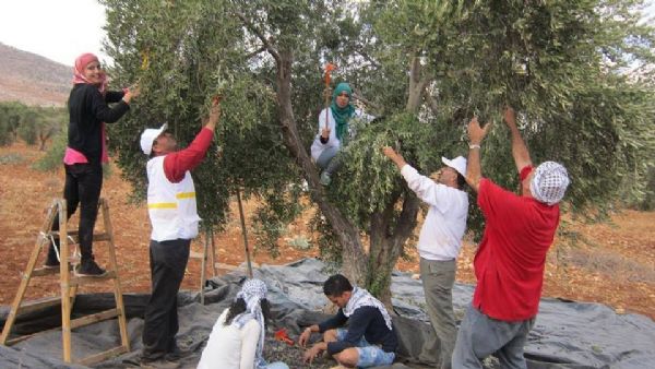 ������� �������� ����������  ����   ���� "���� ����" ���� 2016 