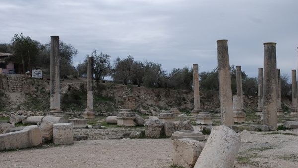  �������� ������ ���� �������� ������� ����� ������ �� ������ 