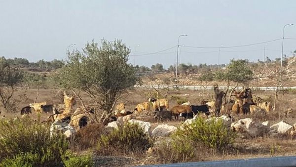 ���.. ������ ���� ������ ������ �� ����� ��������� �� �����