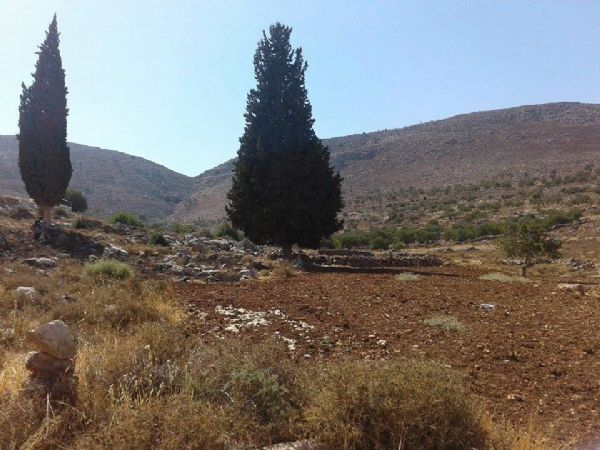  ���� ������ ���� ���� ���� ���� ���� �������