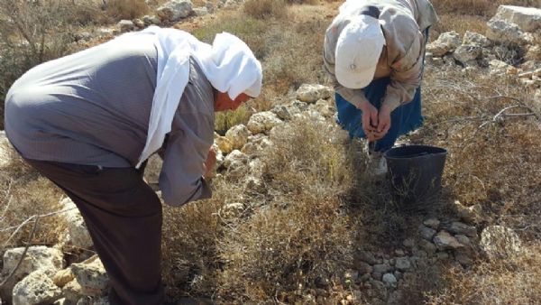 ���.. ���� ������ ��� ����� ������� �� ��� ����� ��� �����