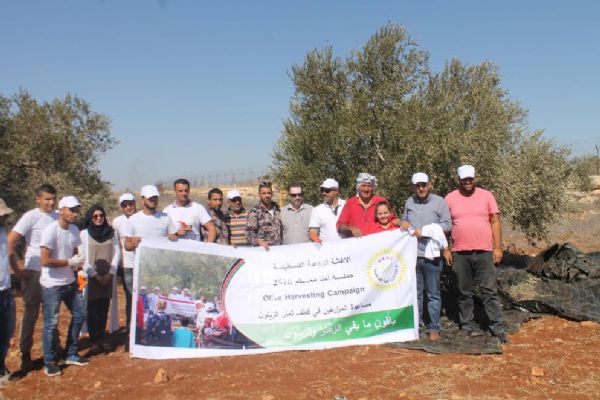 ���� ���� ����: ������� ����� ���� ������ ����� 