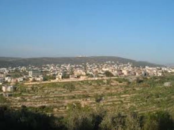 ������� "������" ������ ������ �� ������� ������� ���� �����