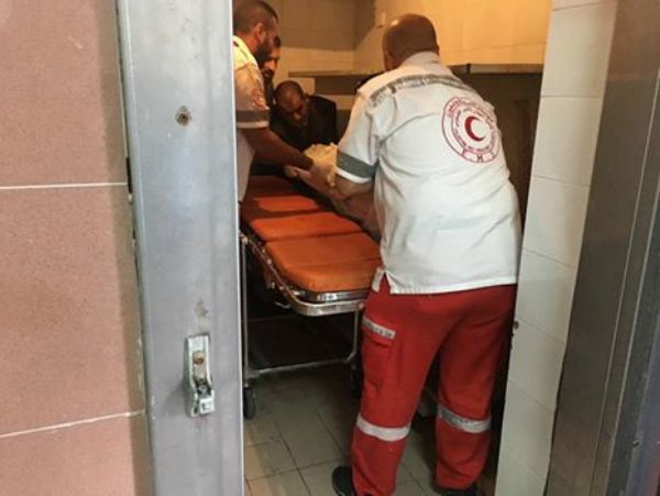 ������ ���� �� ��� ������ ������� �� 2007