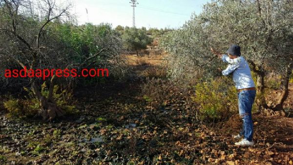 ���.. ���� ������� "���� �����" ������� ���� ����� ������ ������� �� ��� �����