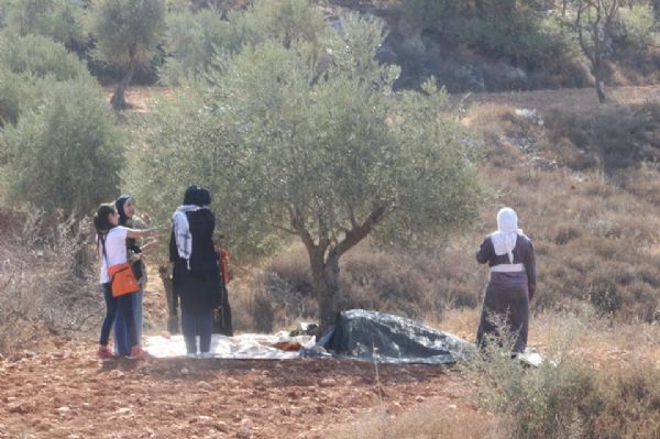 ����� ������� �������� ����� ������� ���� ������ ������ ���� ������ ���� ������� �� ��� �����