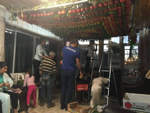 ������� �������� ���� ���� ����� ������