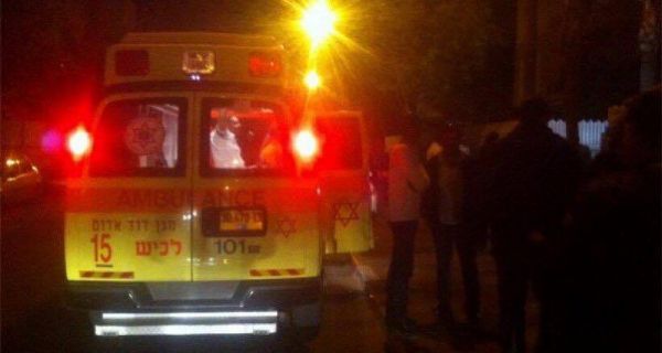  ���� ���� �� ���� ��� ���� ����� ���������� ������ 