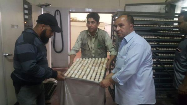   ������� ���� ���17 ��� ���� ����� ���� ���� ��� ������ ���������  