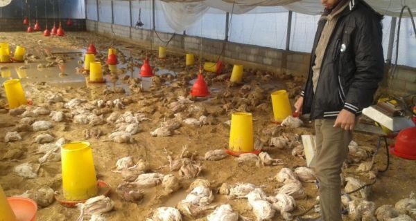  ���� �� ���� ������ �� ���� ��� ����� 