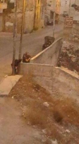 ������� �� ���� ������ �� ����� ���� ����� ��� �� ������ �������